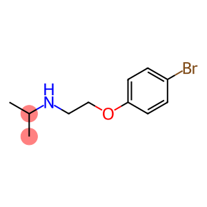 [2-(4-bromophenoxy)ethyl](propan-2-yl)amine