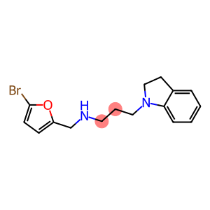 [(5-bromofuran-2-yl)methyl][3-(2,3-dihydro-1H-indol-1-yl)propyl]amine