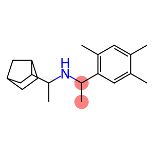 (1-{bicyclo[2.2.1]heptan-2-yl}ethyl)[1-(2,4,5-trimethylphenyl)ethyl]amine