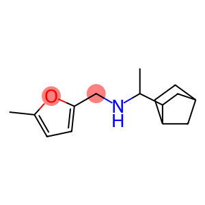 (1-{bicyclo[2.2.1]heptan-2-yl}ethyl)[(5-methylfuran-2-yl)methyl]amine