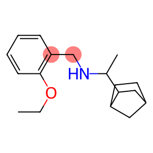 (1-{bicyclo[2.2.1]heptan-2-yl}ethyl)[(2-ethoxyphenyl)methyl]amine