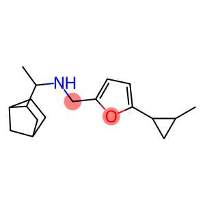 (1-{bicyclo[2.2.1]heptan-2-yl}ethyl)({[5-(2-methylcyclopropyl)furan-2-yl]methyl})amine