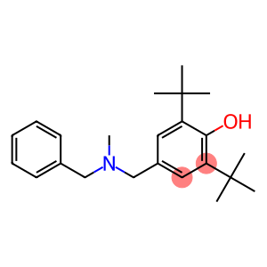 4-{[benzyl(methyl)amino]methyl}-2,6-ditert-butylphenol
