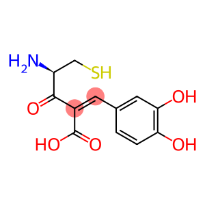 cysteinylcaffeic acid