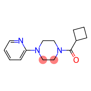 1-(cyclobutylcarbonyl)-4-(2-pyridinyl)piperazine