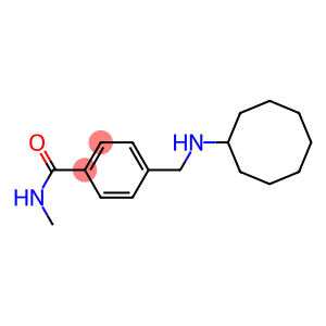 4-[(cyclooctylamino)methyl]-N-methylbenzamide