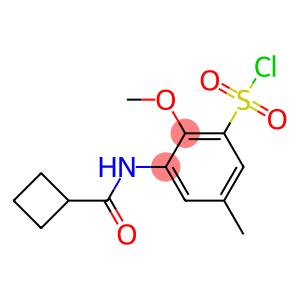 3-cyclobutaneamido-2-methoxy-5-methylbenzene-1-sulfonyl chloride