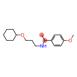 [3-(cyclohexyloxy)propyl][1-(4-methoxyphenyl)ethyl]amine