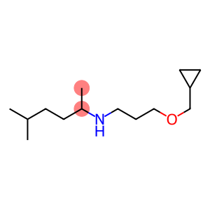 [3-(cyclopropylmethoxy)propyl](5-methylhexan-2-yl)amine