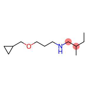 [3-(cyclopropylmethoxy)propyl](2-methylbutyl)amine