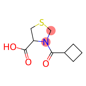 3-(cyclobutylcarbonyl)-1,3-thiazolidine-4-carboxylic acid