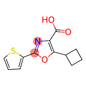 5-cyclobutyl-2-(thiophen-2-yl)-1,3-oxazole-4-carboxylic acid