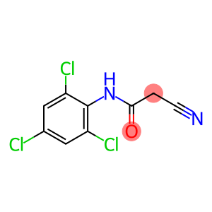 2-cyano-N-(2,4,6-trichlorophenyl)acetamide