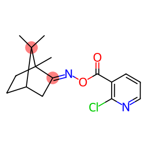 2-CHLORO-3-(([(1,7,7-TRIMETHYLBICYCLO[2.2.1]HEPT-2-YLIDENE)AMINO]OXY)CARBONYL)PYRIDINE