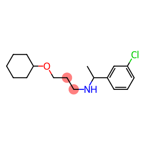 [1-(3-chlorophenyl)ethyl][3-(cyclohexyloxy)propyl]amine