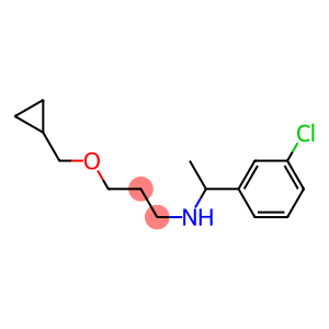 [1-(3-chlorophenyl)ethyl][3-(cyclopropylmethoxy)propyl]amine