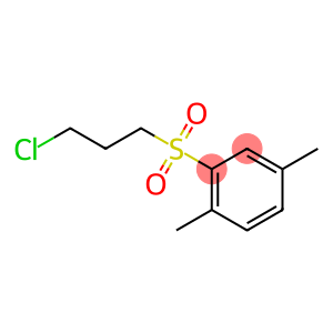 2-[(3-chloropropyl)sulfonyl]-1,4-dimethylbenzene