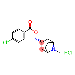 3-{[(4-chlorobenzoyl)oxy]imino}-8-methyl-8-azabicyclo[3.2.1]octane hydrochloride
