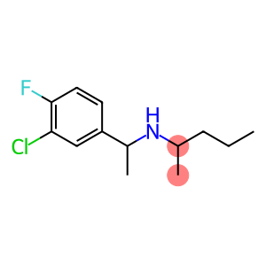 [1-(3-chloro-4-fluorophenyl)ethyl](pentan-2-yl)amine