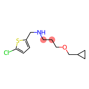 [(5-chlorothiophen-2-yl)methyl][3-(cyclopropylmethoxy)propyl]amine
