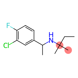 [1-(3-chloro-4-fluorophenyl)ethyl](2-methylbutan-2-yl)amine