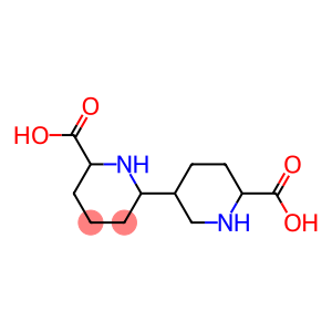 Dodecahydro[2,3'-bipyridine]-6,6'-dicarboxylic acid