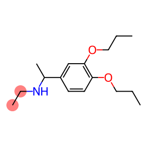 [1-(3,4-dipropoxyphenyl)ethyl](ethyl)amine