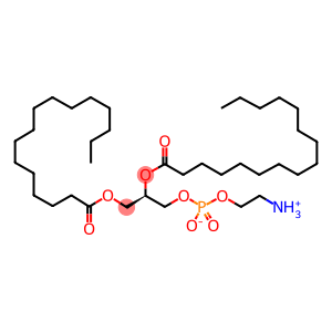 1,2-棕榈酰磷脂酰乙醇胺