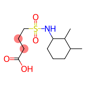 4-[(2,3-dimethylcyclohexyl)sulfamoyl]butanoic acid