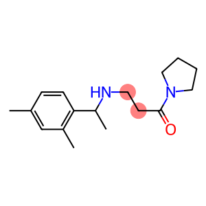 3-{[1-(2,4-dimethylphenyl)ethyl]amino}-1-(pyrrolidin-1-yl)propan-1-one