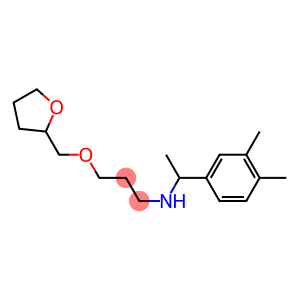 [1-(3,4-dimethylphenyl)ethyl][3-(oxolan-2-ylmethoxy)propyl]amine