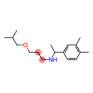 [1-(3,4-dimethylphenyl)ethyl][3-(2-methylpropoxy)propyl]amine