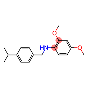 2,4-dimethoxy-N-{[4-(propan-2-yl)phenyl]methyl}aniline