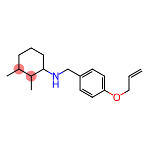 2,3-dimethyl-N-{[4-(prop-2-en-1-yloxy)phenyl]methyl}cyclohexan-1-amine