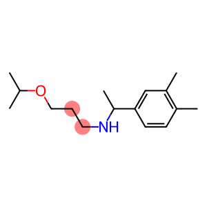 [1-(3,4-dimethylphenyl)ethyl][3-(propan-2-yloxy)propyl]amine