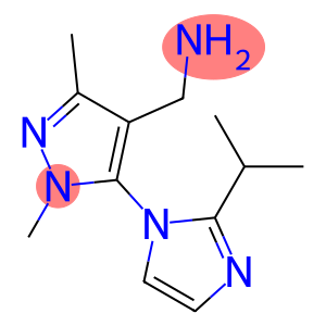 {1,3-dimethyl-5-[2-(propan-2-yl)-1H-imidazol-1-yl]-1H-pyrazol-4-yl}methanamine