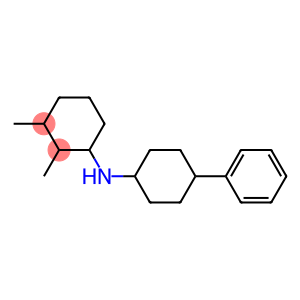 2,3-dimethyl-N-(4-phenylcyclohexyl)cyclohexan-1-amine