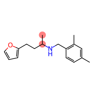 [(2,4-dimethylphenyl)methyl][4-(furan-2-yl)butan-2-yl]amine