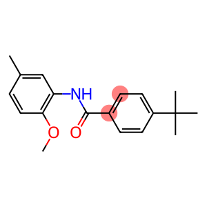 4-(1,1-dimethylethyl)-N-[5-methyl-2-(methyloxy)phenyl]benzamide