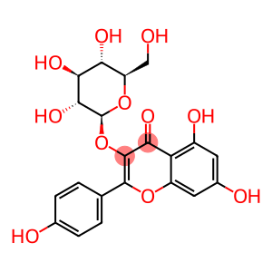 5,7-dihydroxy-2-(4-hydroxyphenyl)-3-[(2S,3R,4S,5S,6R)-3,4,5-trihydroxy-6-(hydroxymethyl)oxan-2-yl]oxy-chromen-4-one