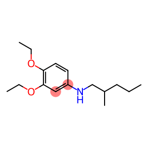 3,4-diethoxy-N-(2-methylpentyl)aniline