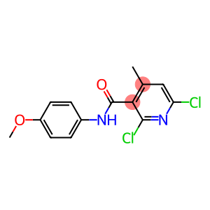2,6-dichloro-N-(4-methoxyphenyl)-4-methylnicotinamide