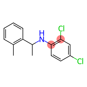 2,4-dichloro-N-[1-(2-methylphenyl)ethyl]aniline