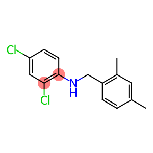 2,4-dichloro-N-[(2,4-dimethylphenyl)methyl]aniline