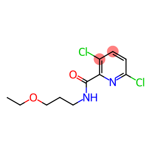 3,6-dichloro-N-(3-ethoxypropyl)pyridine-2-carboxamide