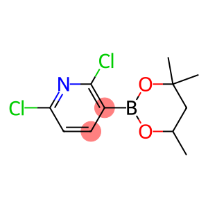 2,6-Dichloro-3-(4,4,6-trimethyl-1,3,2-dioxaborinan-2-yl)pyridine