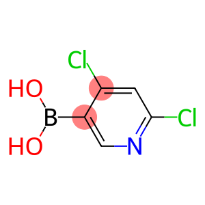 4,6-二氯吡啶硼酸