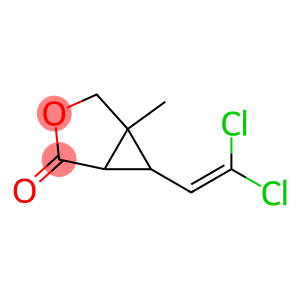 6-(2,2-Dichloroethenyl)-5-methyl-3-oxabicyclo[3.1.0]hexan-2-one