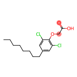 2,6-DICHLORO-4-OCTYLPHENOXYACETICACID