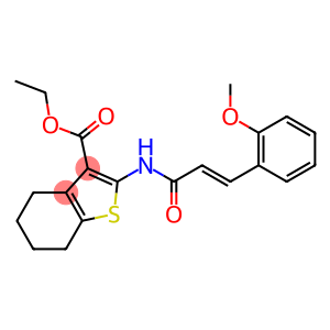 ethyl 2-{[3-(2-methoxyphenyl)acryloyl]amino}-4,5,6,7-tetrahydro-1-benzothiophene-3-carboxylate